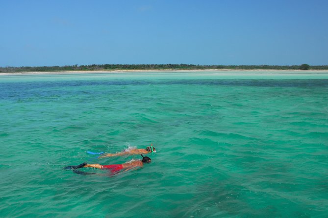 Key West Reef Snorkel – Morning Mimosas or Afternoon Margaritas - Who should book this reef snorkel
