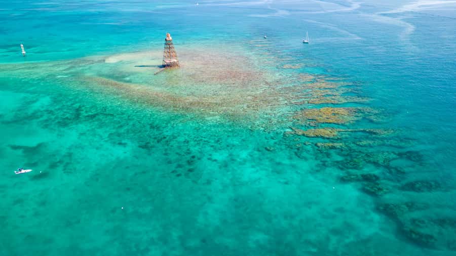 Key West: Reef Snorkel Morning Tour with Breakfast & Mimosas - From 201 William Street to the open water