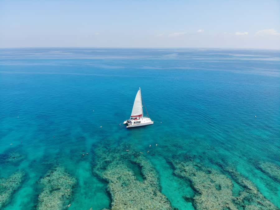 Key West: Reef Snorkel Morning Tour with Breakfast & Mimosas - What you may see below the surface