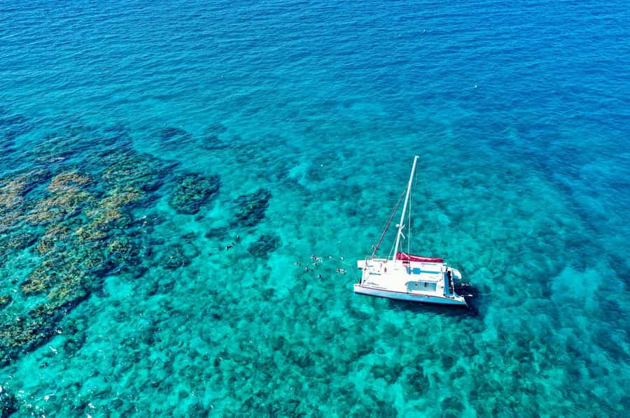Key West: Reef Snorkel Morning Tour with Breakfast & Mimosas - Is $54 a fair price?
