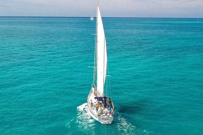 Key West Reef Snorkel & Sail Adventure - The reef stop and what you might see