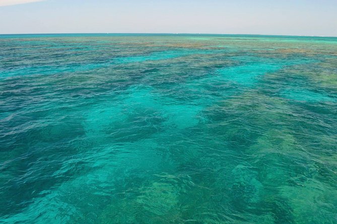 Key West Reef Snorkel & Sail Adventure - Drinks, deck time, and the rhythm of the trip