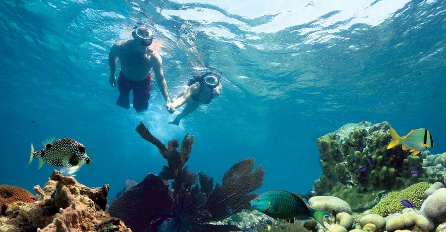 Key West: Reef Snorkeling with Drinks and Sunset Option - Key points to know before you book