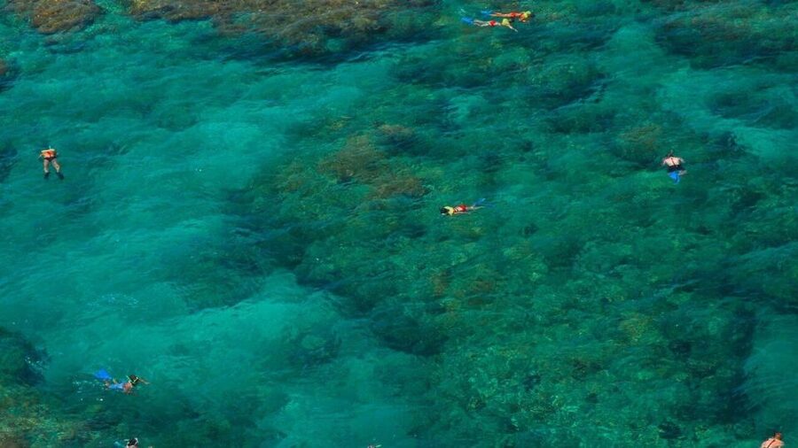 Key West: Reef Snorkeling with Drinks and Sunset Option - Getting ready for the reef