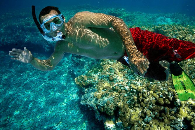 Key West Rum and Reggae: Reef Snorkel Adventure and Sunset Sail - Why this three-hour Key West trip works