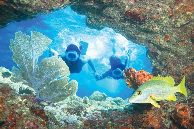 Key West Rum and Reggae: Reef Snorkel Adventure and Sunset Sail - Thirty to forty minutes above the living coral reef