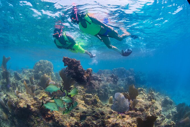 Key West Rum and Reggae: Reef Snorkel Adventure and Sunset Sail - Watching the sunset from the catamaran