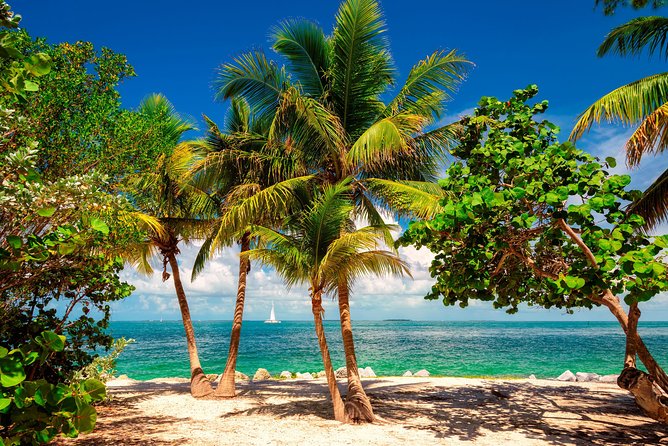 Key West Sail and Snorkel with Hotel Transportation from Miami - The real value of the $119 price
