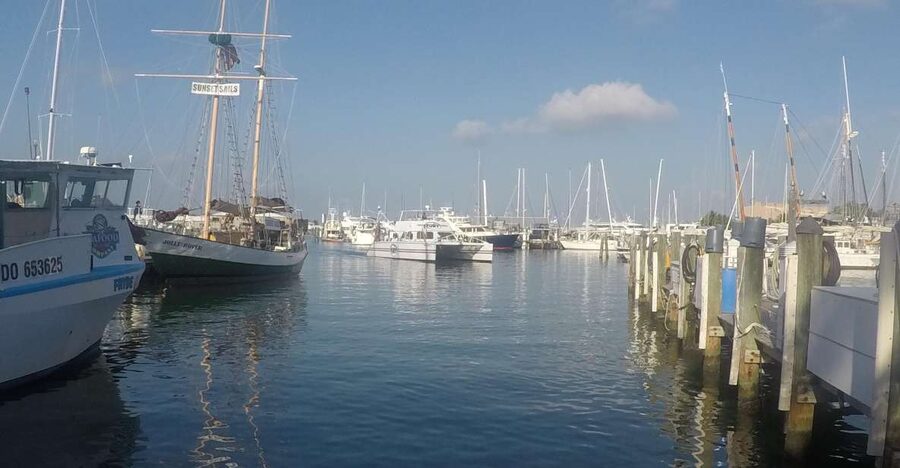 Key West Tour and Coral Reef Snorkeling with Open Bar - What to do with your free time