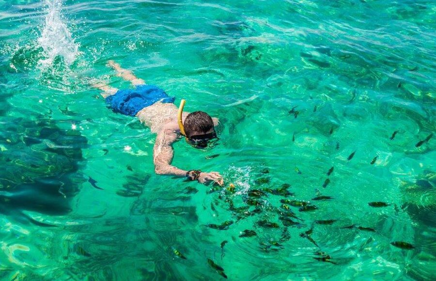 Khao Lak: Phi Phi Island, Maya Beach and Snorkeling Day Trip - Monkey Bay: A Quick Wildlife Stop