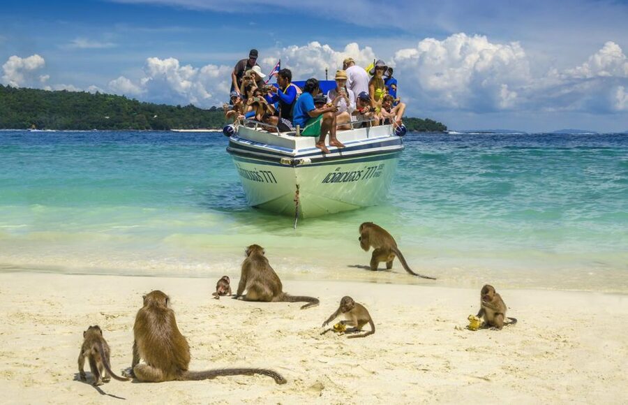 Khao Lak: Phi Phi Island, Maya Beach and Snorkeling Day Trip - Lunch and the White Sand Break