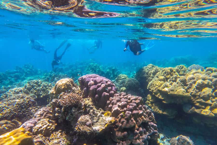 Khao Lak: Similan Islands Snorkeling Day Trip w/Meals - Speedboat views of Koh Similan and Donald Duck Bay