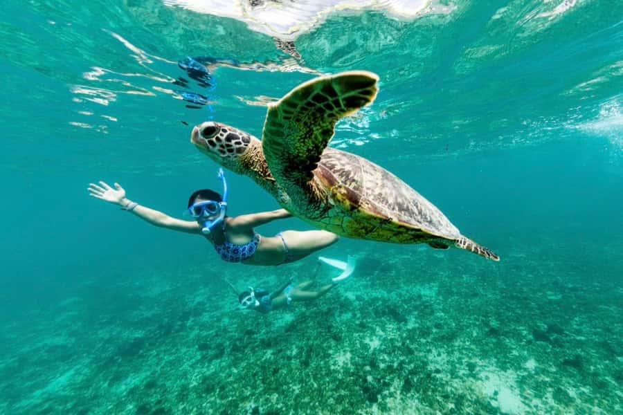 Khao Lak: Similan Islands Snorkeling Day Trip w/Meals - Meals, gear, and what to pack