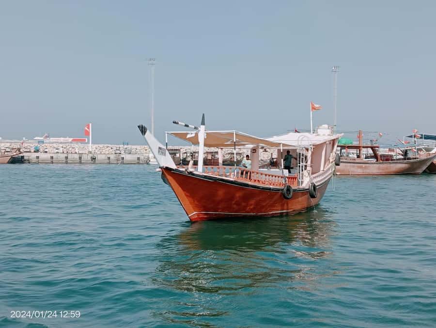 Khasab: Dhow Cruise with Lunch, Dolphin Watching& Snorkeling - Six hours among the Musandam Fjords