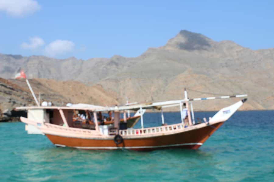 Khasab: Dhow Cruise with Lunch, Dolphin Watching& Snorkeling - Who will enjoy this cruise most