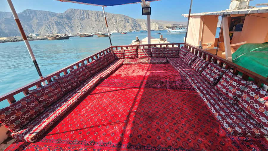 Khasab: Half-Day Dhow Cruise, Dolphin Watching, & Snorkeling - Is $37 good value?