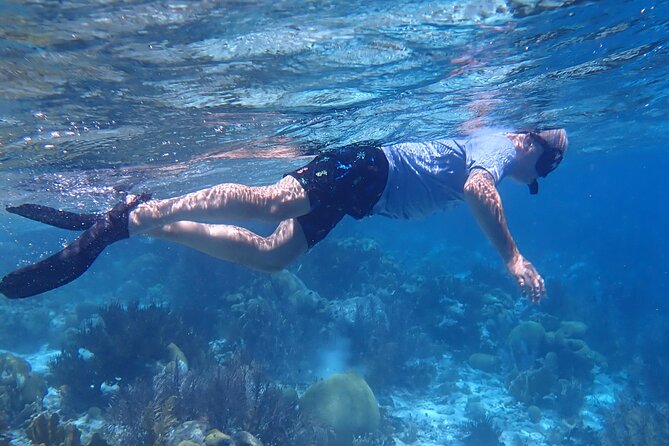 Klein Bonaire Marine Park Snorkeling Excursion - A practical choice for cruise ship passengers