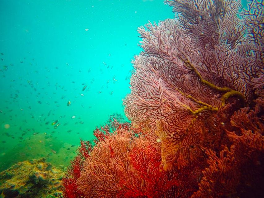 Ko Lanta: 4 Islands Snorkeling Tour by Longtail Boat - The return ride can change the whole day