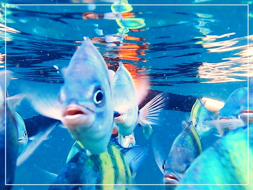 Ko Lanta: 4 Islands Snorkeling Tour by Longtail Boat - What the $31 price really includes