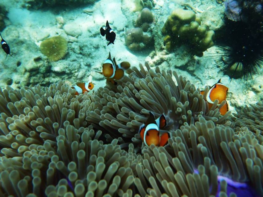 Ko Lanta: 4 Islands Snorkeling Tour by Longtail Boat - The morning route from Koh Lanta Yai