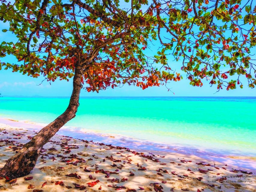 Ko Lanta: Koh Rok & Koh Haa Snorkelling Tour by Speedboat - Key points to know before you book