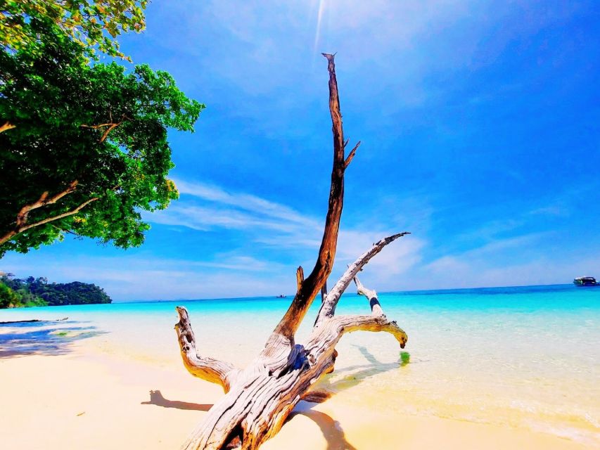 Ko Lanta: Koh Rok & Koh Haa Snorkelling Tour by Speedboat - A long but worthwhile day from Ko Lanta