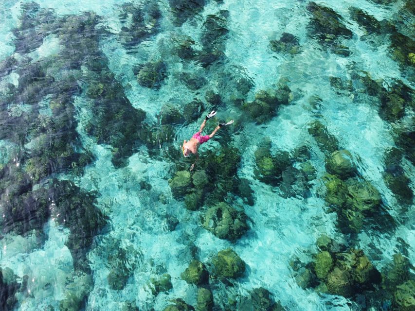 Ko Lanta: Koh Rok & Koh Haa Snorkelling Tour by Speedboat - Koh Rok offers the main snorkeling action