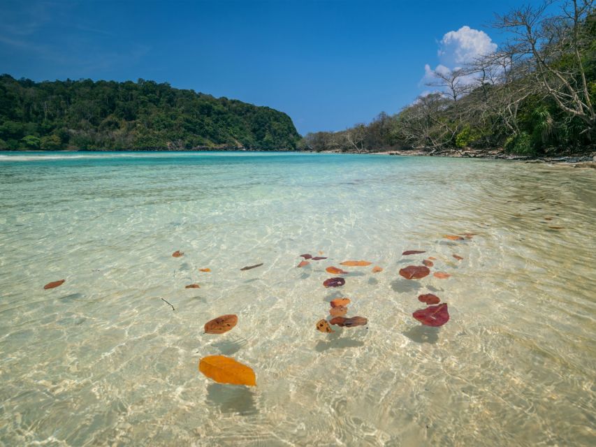 Ko Lanta: Koh Rok & Koh Haa Snorkelling Tour by Speedboat - What the $59 price really covers