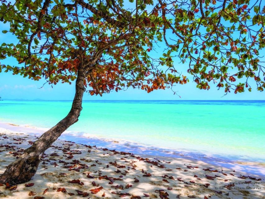 Ko Lanta: Private Longtail Rok Island Snorkeling Day Trip - The ride back to Ko Lanta
