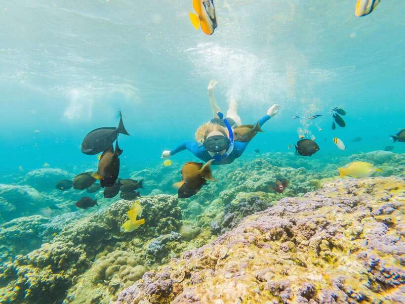 Ko Lanta: Snorkeling Adventure Tour to Koh Rok and Koh Haa - FAQ