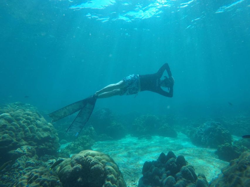 Ko Lipe: Outside Zone Snorkeling Trip by Longtail Boat - What this Ko Lipe outer-zone trip is really like
