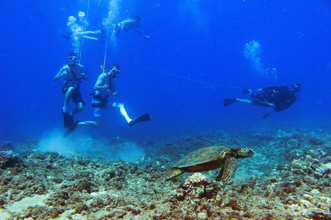 Ko Olina Catamaran Sail and Snorkel with Lunch - Practical Details Before You Book