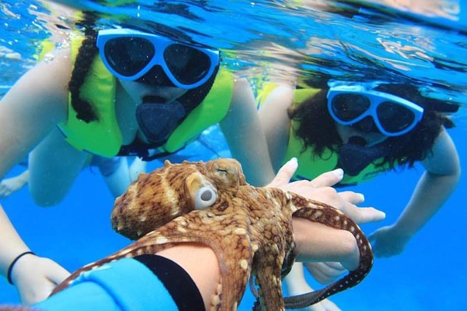 Ko Olina Catamaran Sail and Snorkel with Lunch - Snorkeling Over a Tropical Reef