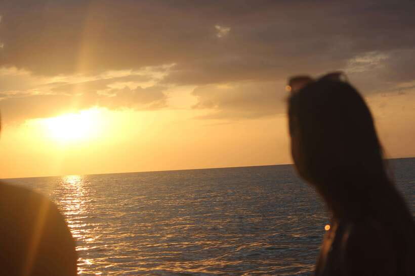 Ko Phi Phi Don: Speedboat Day Trip with Shark Snorkeling - Monkey Beach: a quick wildlife hello