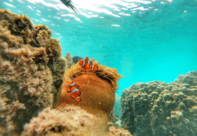 Ko Samet: 5 or 6 Islands Snorkeling Tour with Lunch Option - Koh Thalu and the view from Koh Plai Tin