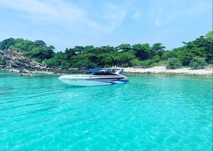 Ko Samui: Pig Island Snorkeling and Koh Tan Speedboat Tour - Key points to know before booking