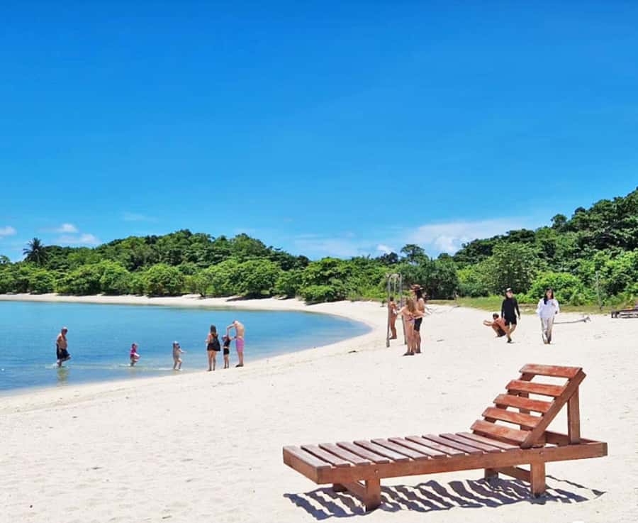 Ko Samui: Pig Island Snorkeling and Koh Tan Speedboat Tour - Lunch on the beach, with pigs nearby