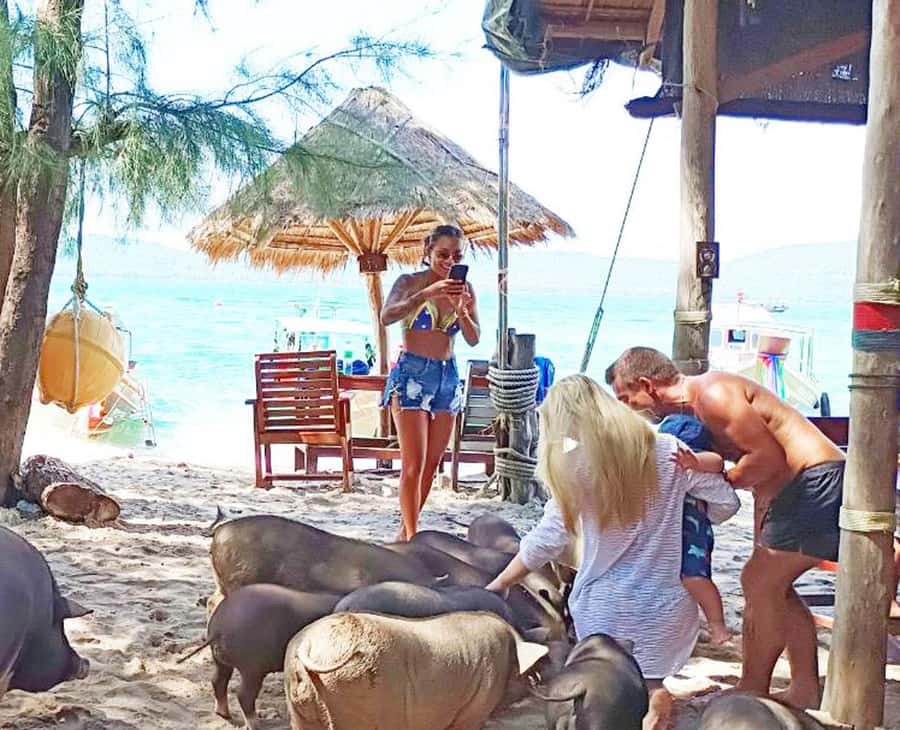 Ko Samui: Pig Island Snorkeling and Koh Tan Speedboat Tour - What the guides do well