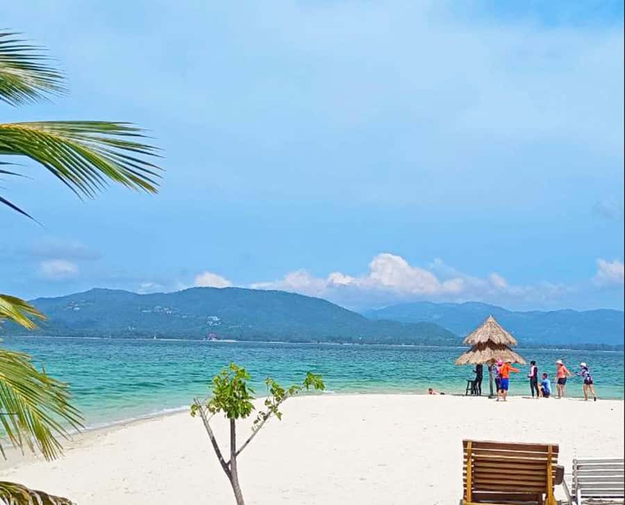 Ko Samui: Pig Island Snorkeling and Koh Tan Speedboat Tour - How good is the value at 51 dollars?
