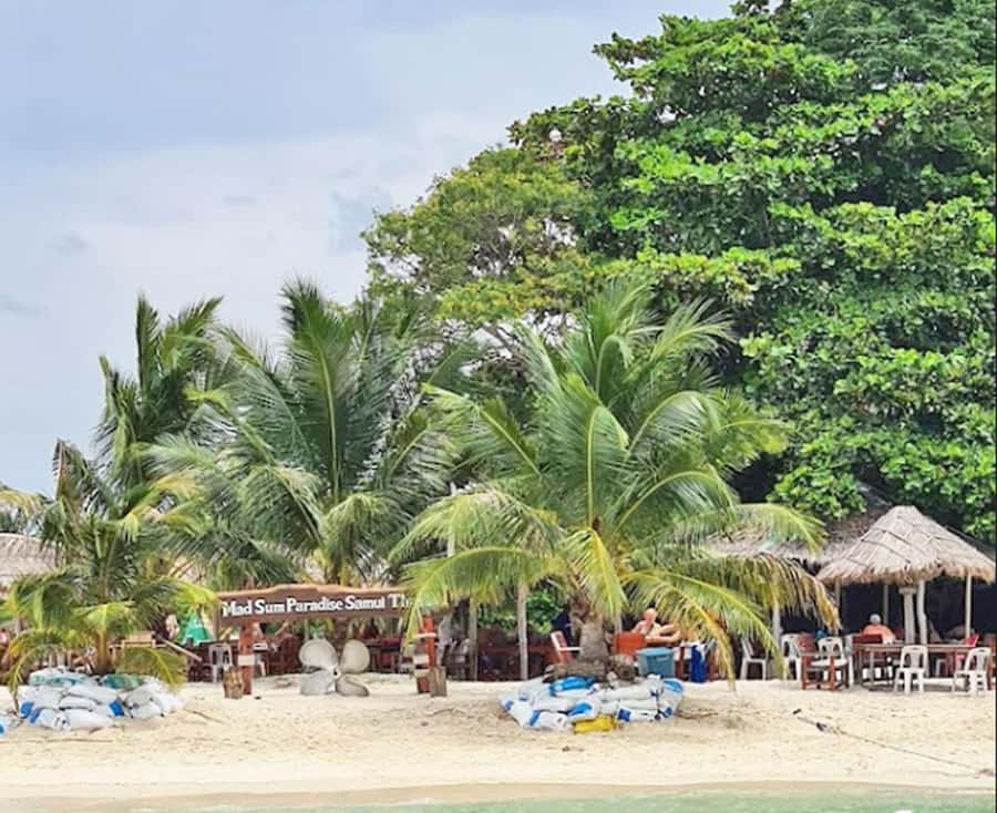 Ko Samui: Pig Island Snorkeling and Koh Tan Speedboat Tour - Practical advice for a smoother day
