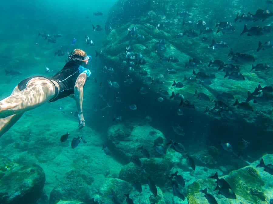 Ko Samui: Unique Ko Tao & Ko Nang Yuan Snorkeling Day Trip - The 8:00 AM start from Koh Samui