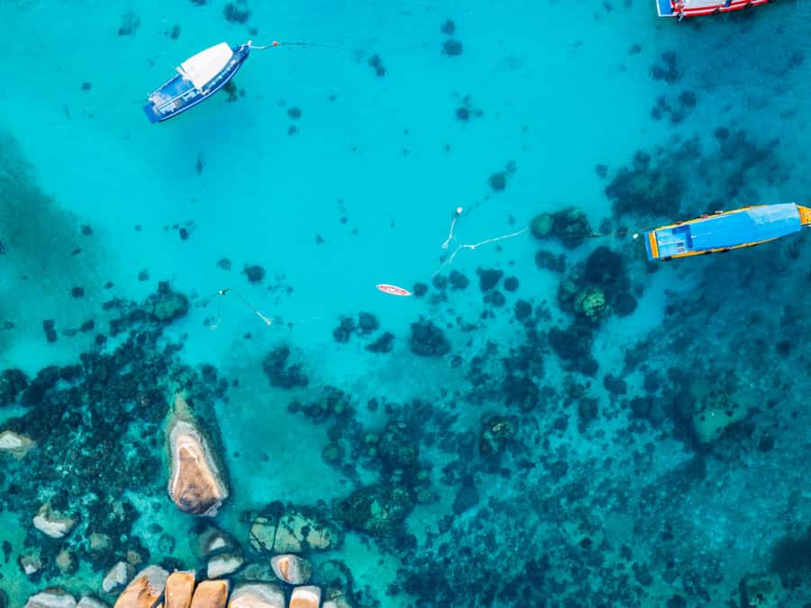Ko Samui: Unique Ko Tao & Ko Nang Yuan Snorkeling Day Trip - The return trip around 3:00 PM