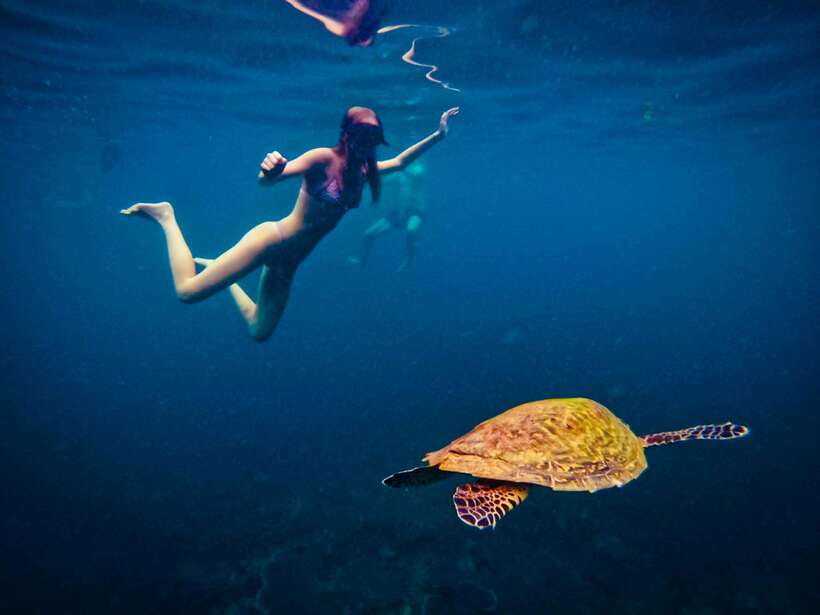 Ko Tao: Late Riser Snorkeling Tour with Lunch and Photos - Mango Bay: shallow water and an easy first stop