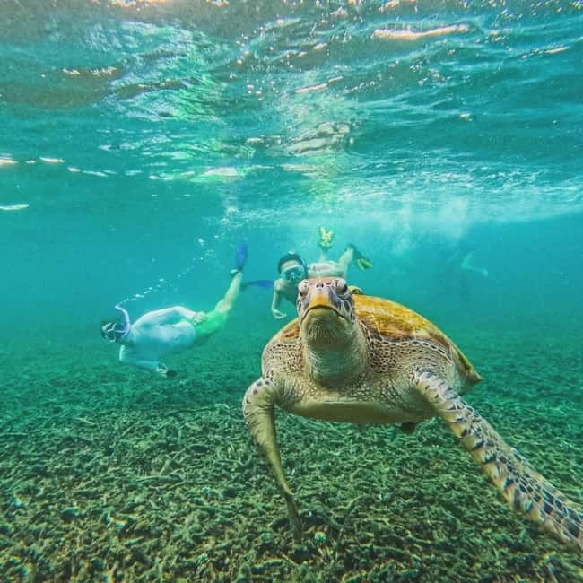 Ko Tao: Tao-Nangyuan Snorkeling Day Trip with Meals & Sunset - Sunset BBQ at Banana Rock