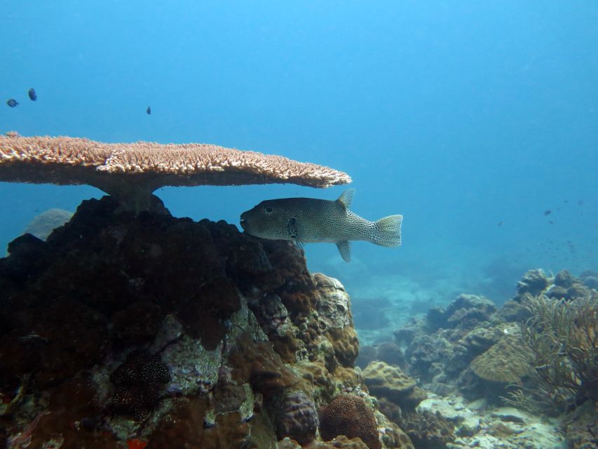 Koh Chang: Snorkeling Trip to Reefs or Wrecks with Lunch - Koh Yak Yai, lunch beside a white-sand beach