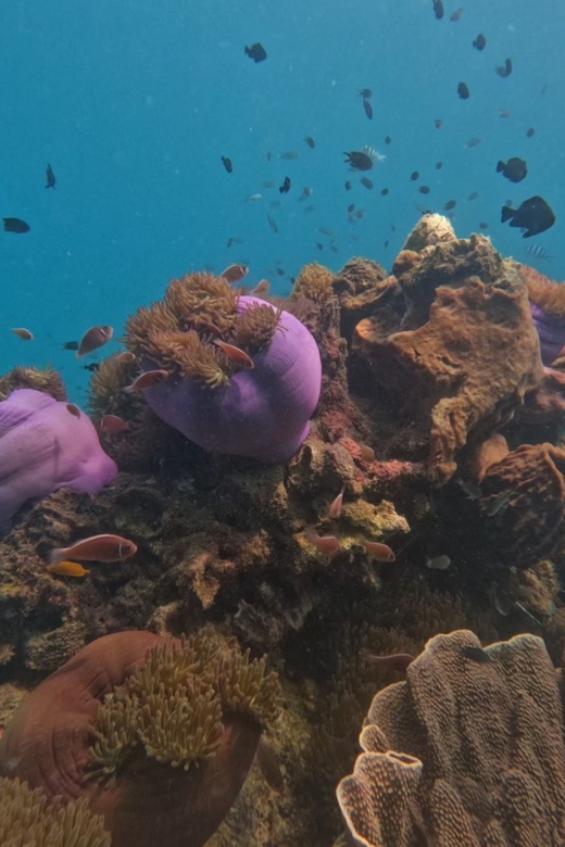 Koh Kood: Snorkeling Speedboat Tour with Lunch and Transfer - The speedboat tradeoff