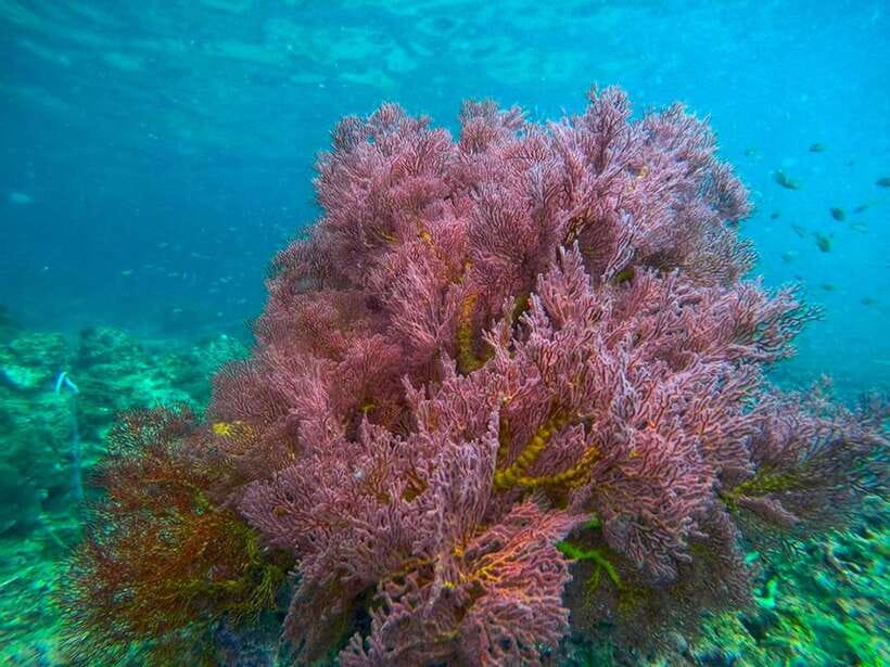 Koh Lanta: 4 Islands and Emerald Cave Snorkeling Trip - Weather, comfort, and what to pack