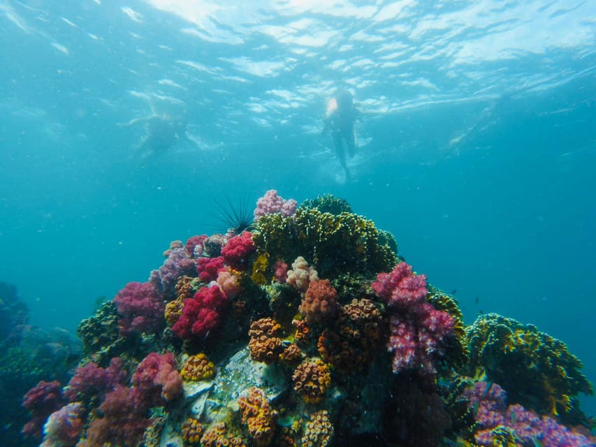 Koh Lipe: 7 Island Snorkeling Trip by Longtail Boat w/ Lunch - Monkey Beach and the midday lunch break