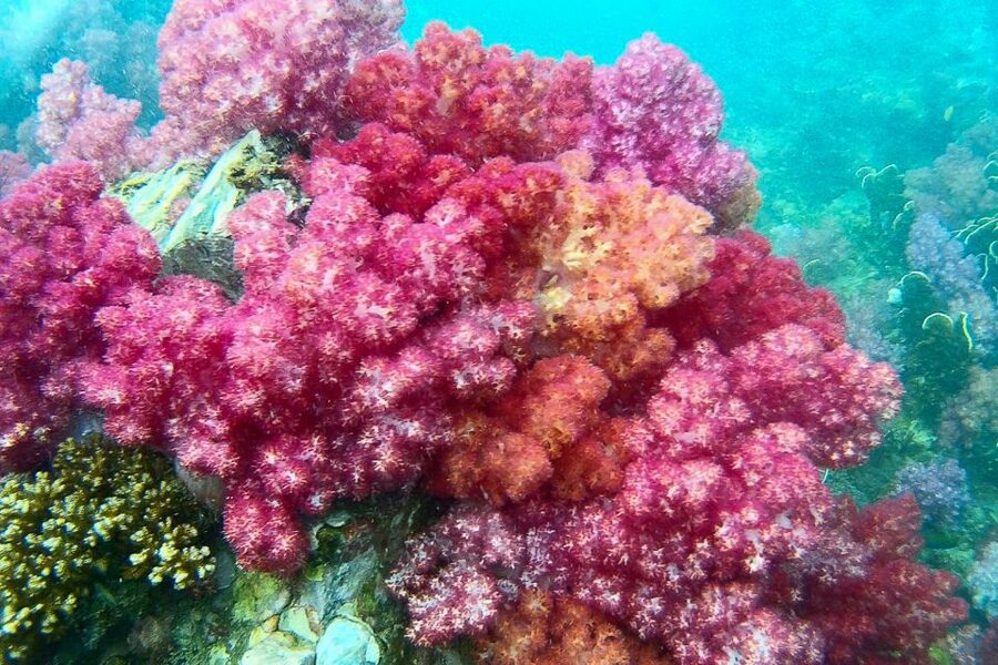 Koh Lipe: Full Day Multi-Island Snorkeling Trip with Lunch - Finding the boat at Pattaya Beach