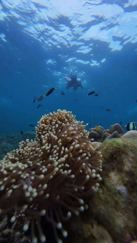 Koh Lipe: Half-Day Snorkeling (Morning/Afternoon/Sunset) - Morning route: four islands and five water stops